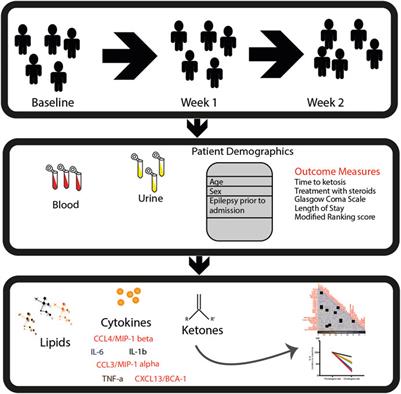 Changes in lipids and inflammation in adults with super-refractory status epilepticus on a ketogenic diet